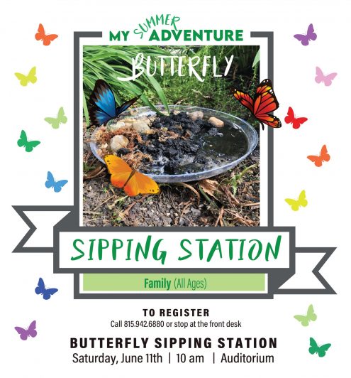 Butterfly Sipping station