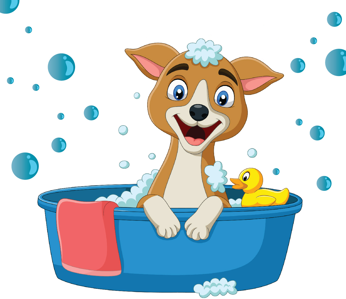 You are currently viewing Dog Wash Success!