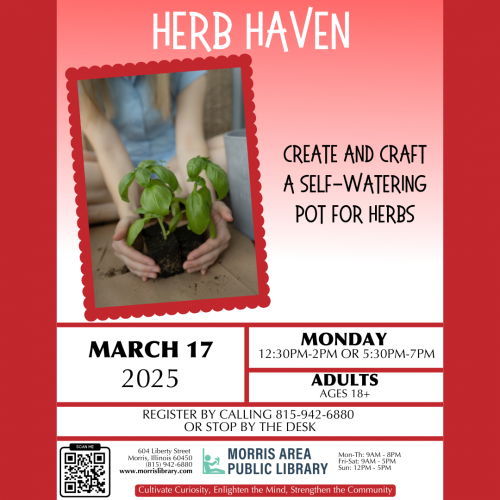 Adult Craft – March 17, 2025 – Self-Watering Container