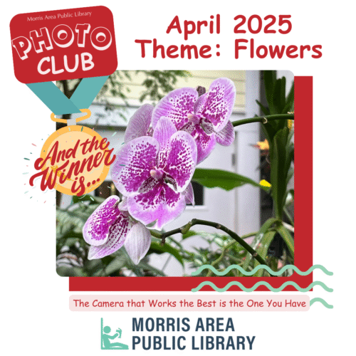 April 2025 Photo Club Gallery