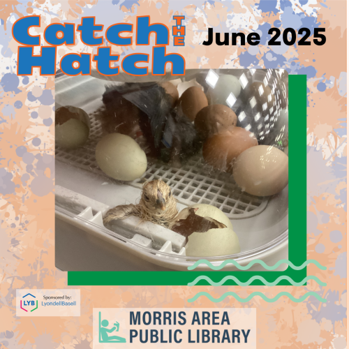 Catch the Hatch at the Library! Event Gallery