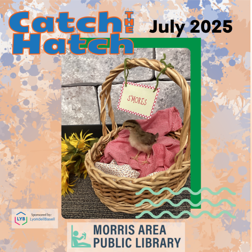 Catch the Hatch: Chick Naming Update – July 2025